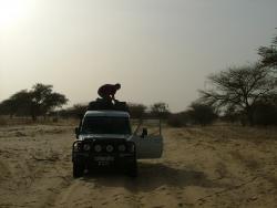 Plantage, on est obligé de sortir les plaques !