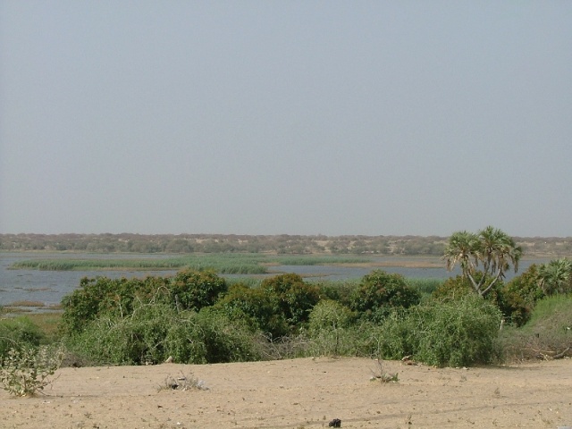 Bras du lac Tchad