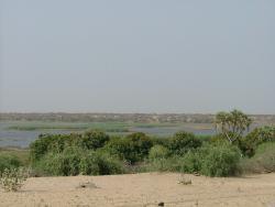 Bras du lac Tchad