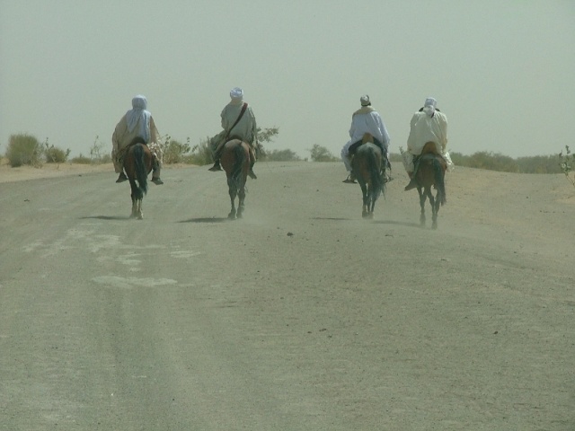 Cavaliers sur la piste