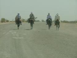 Cavaliers sur la piste