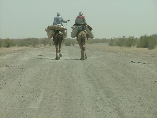 Nomades à drom toujours sur la piste