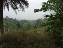 La forêt entre Badou et Kpalimé
