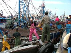 Maroc 2004 - KapSud
