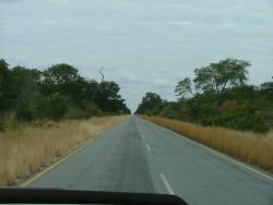 Paysages classiques du Botswana