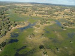 Botswana 2004 - KapSud