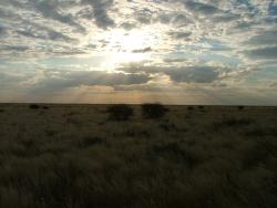 Superbes vues du Makgadikgadi Park