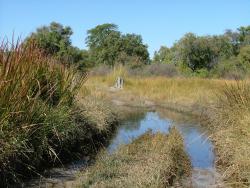 Piste submergée par les eaux, très souvent rencontrée sur notre parcours, les ponts plus rarement