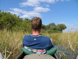 Ballade en mokoros dans les joncs du delta de l'Okavango