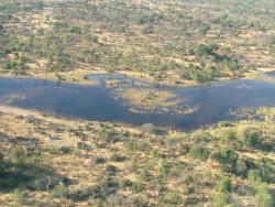 Troupeau d'éléphants traversant la rivière