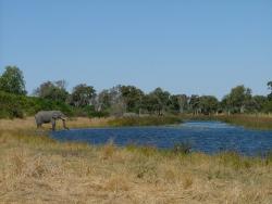 Eléphants sur la rivière Kwai