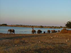 Le début de la ruée vers l'eau