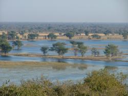 Eaux de la rivière Chobe à un niveau très élevé