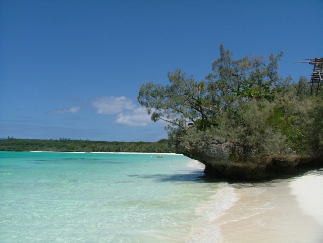Luengoni, la plus belle plage de Lifou