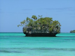 et pourquoi pas la plus belle plage du Pacifique !