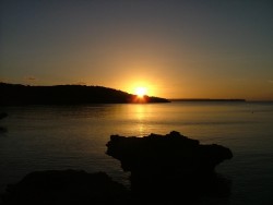 Peng au soleil couchant