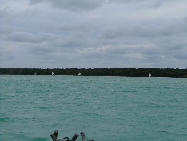 Pirogues de la Baie d'Upi