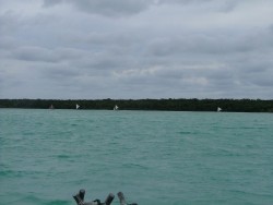 Pirogues de la Baie d'Upi