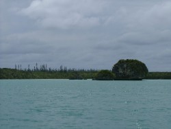 L'île des pins mérite bien son nom