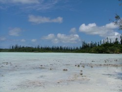 Baie des Crabes