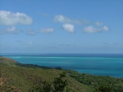 le Pacifique