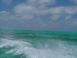 Arrivée mouvementée sur l'Atoll de Nokanhui