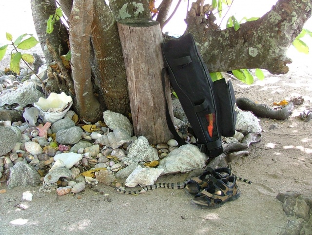 Un invité surprise dans nos affaires, le tricot rayé