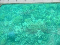 Les fonds marins vus d'un semi-submersible