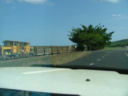 Les petits trains de canne à sucre, croisés à maintes reprises sur les terres fertiles du Sud Queensland
