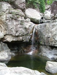 Cascade rafraichissante de Paluma Range NP