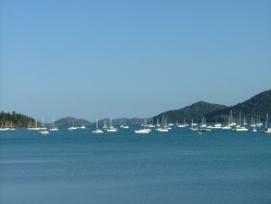 Port de plaisance d'Airlie Beach
