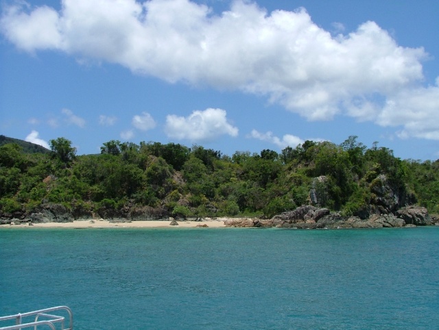 Végétation luxuriante dans les Whitsundays