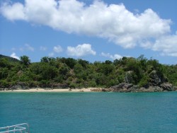 Végétation luxuriante dans les Whitsundays