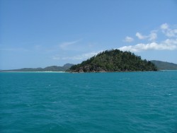 Une lueur blanche au loin :la paradisiaque Whitehaven Beach