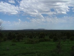 La campagne australienne dédiée à l'élevage