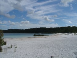 Le cousin de MacKenzie en plus sauvage