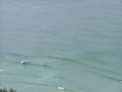 Ici, même les dauphins font du surf