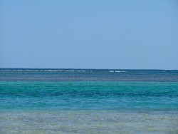 Camaieu de bleu sur Nacula