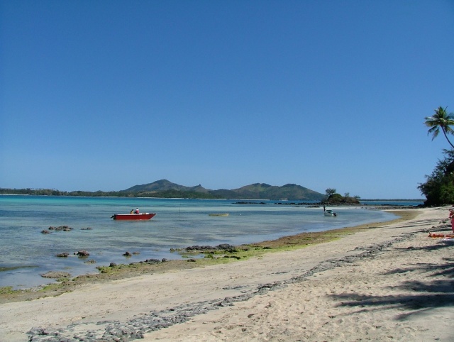 Nacula