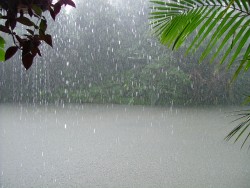 Pluie diluvienne sur Suva