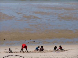 Le reste de la famille ramasse des coquillages