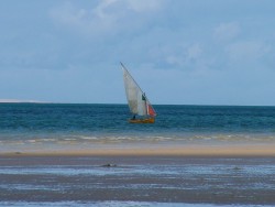 Embarcation traditionnelle dans la région la boutre ou dhow