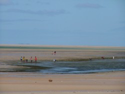 La mer nourricière n'est pas un vain mot