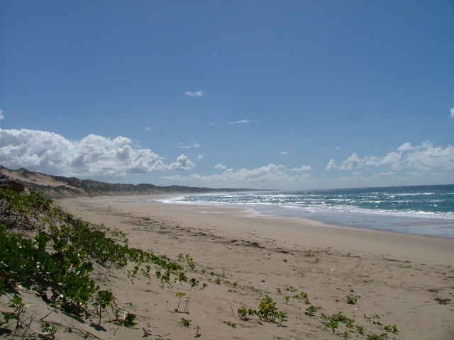 Plages surpeuplées