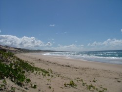 Plages surpeuplées