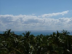 Soleil, mer et cocotiers, un cocktail toujours réussi