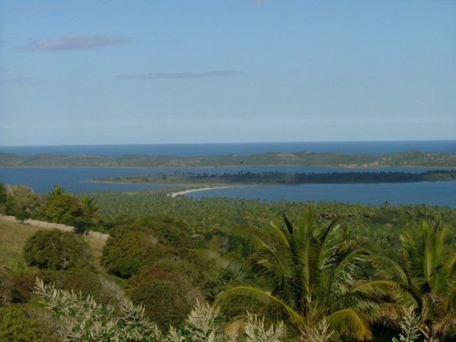 Soleil, mer et cocotiers, un cocktail toujours réussi