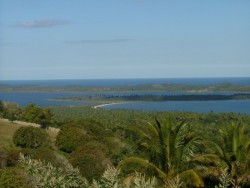 Soleil, mer et cocotiers, un cocktail toujours réussi