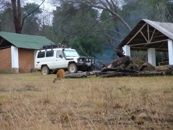 Nous sommes les seuls clients du camping mais pas tout à fait seuls quand même