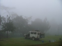 Brouillard du Zomba Plateau